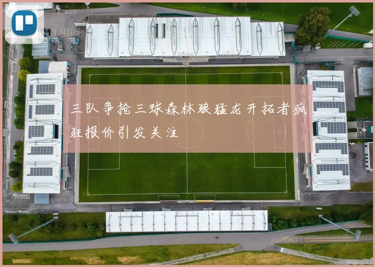 三队争抢三球森林狼猛龙开拓者疯狂报价引发关注