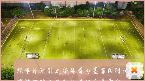 绿军计划引进字母哥与墨菲同时试探鹈鹕对杰伦和怀特的交易意向
