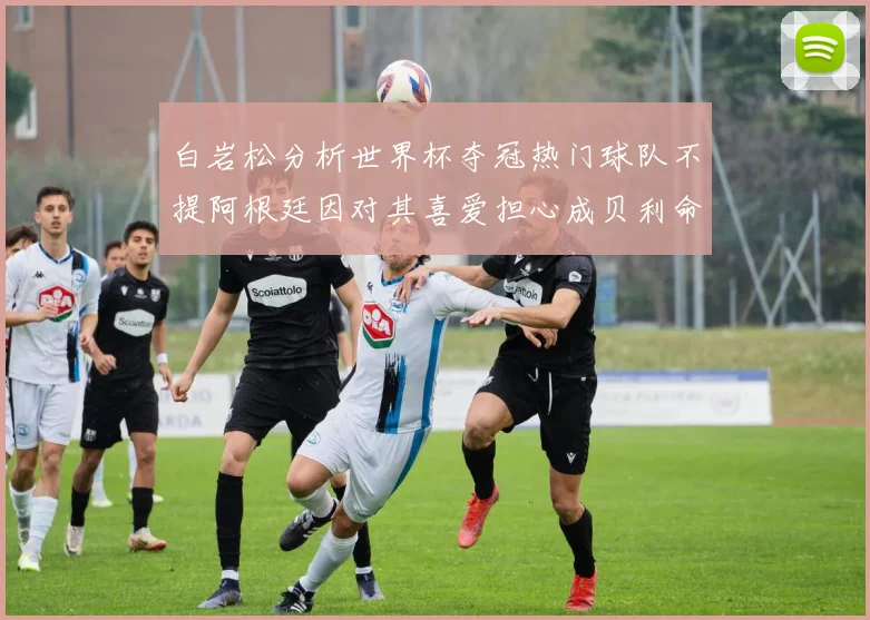 白岩松分析世界杯夺冠热门球队不提阿根廷因对其喜爱担心成贝利命运